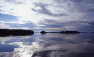 Järvikuva